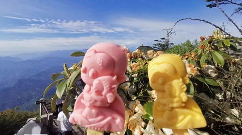 只在峨眉山才能吃到的快樂，被游客寵上了天的“萌貝樹”